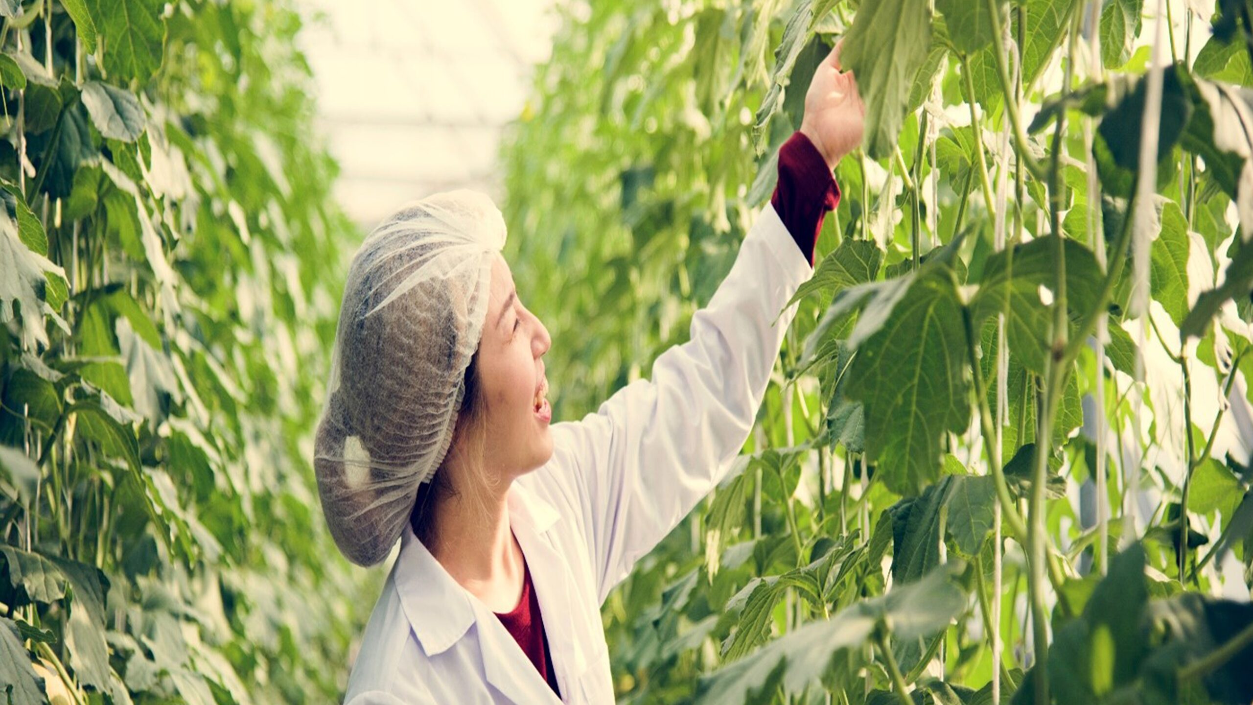 A woman in a lab coat examines a plant, symbolizing innovation in agricultural engineering business practices.