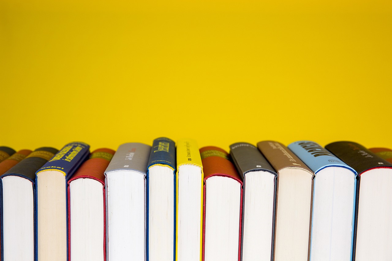 A series of books lined up , illustrating the importance of education and consultancy.