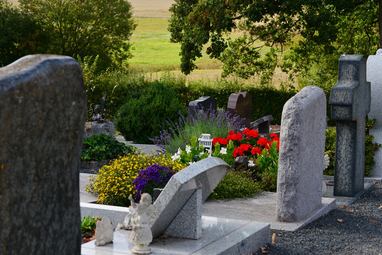 A prominent large tree in the background evokes a sense of peace, aligning with the values of Compassionate Funeral Services.