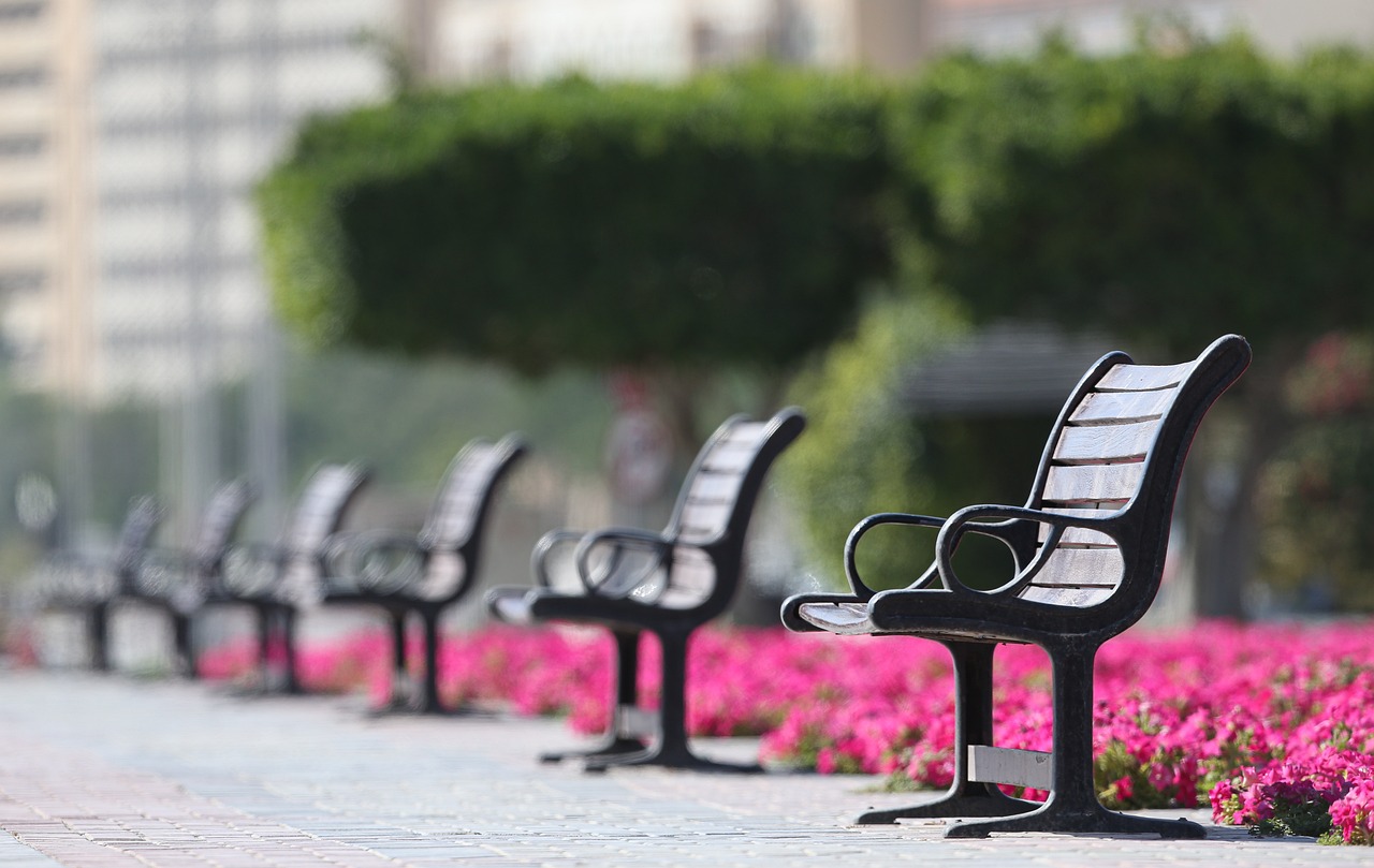 A serene park featuring a row of benches, inviting relaxation and community engagement in a tranquil outdoor setting.