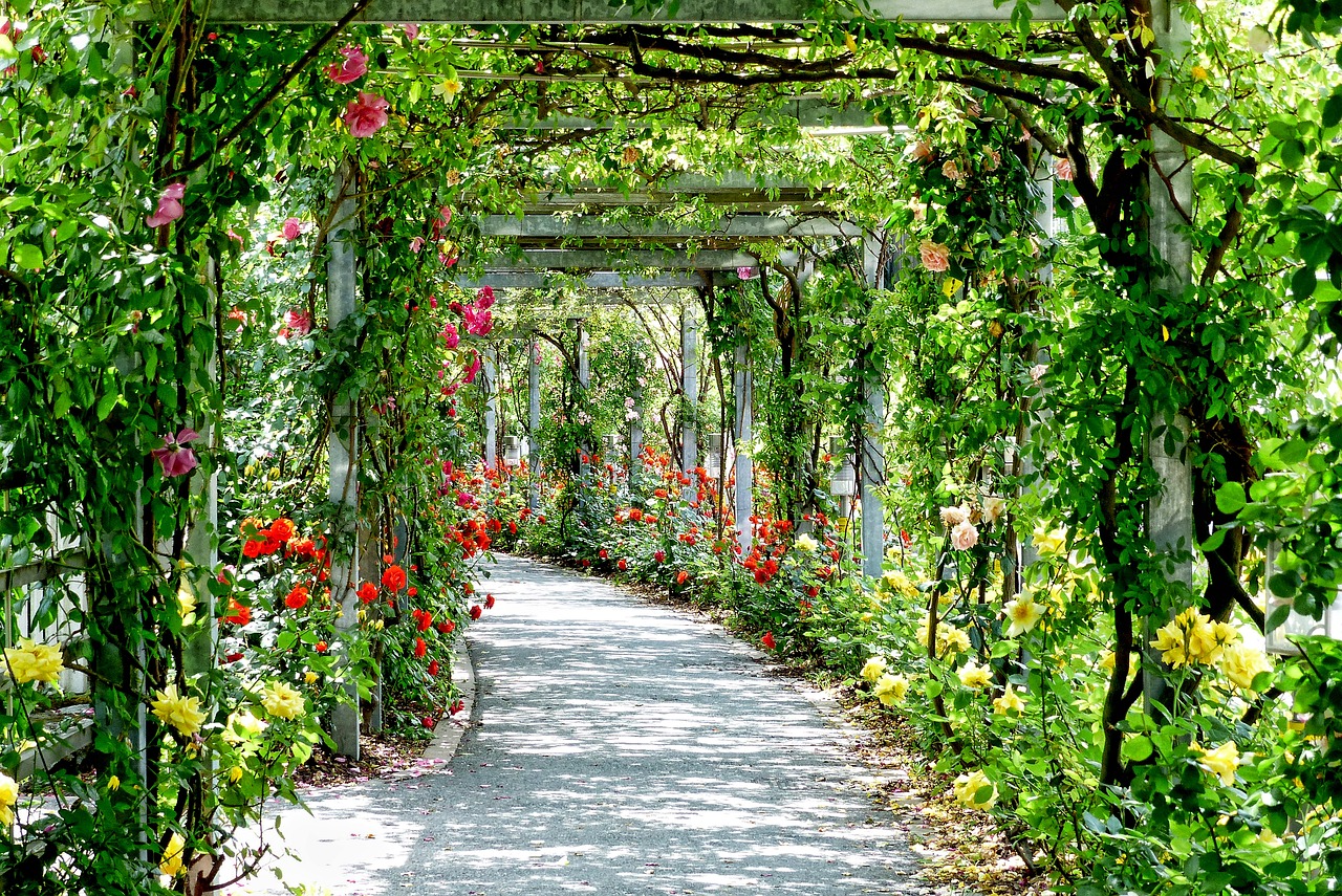 A scenic pathway adorned with vibrant flowers and lush vines, showcasing the beauty of landscape architecture services.