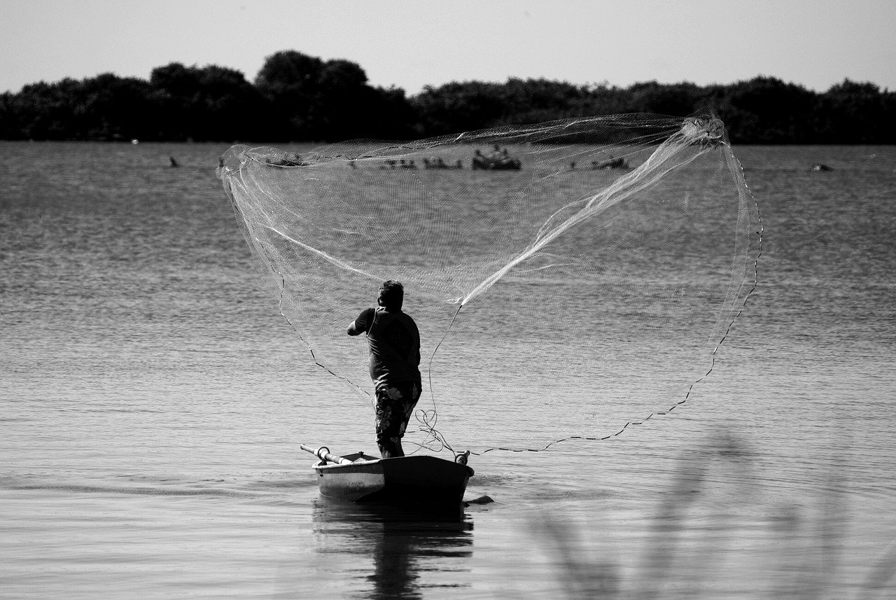 A fisherman in a boat skillfully uses a net, representing his dedication to the fishing industry.