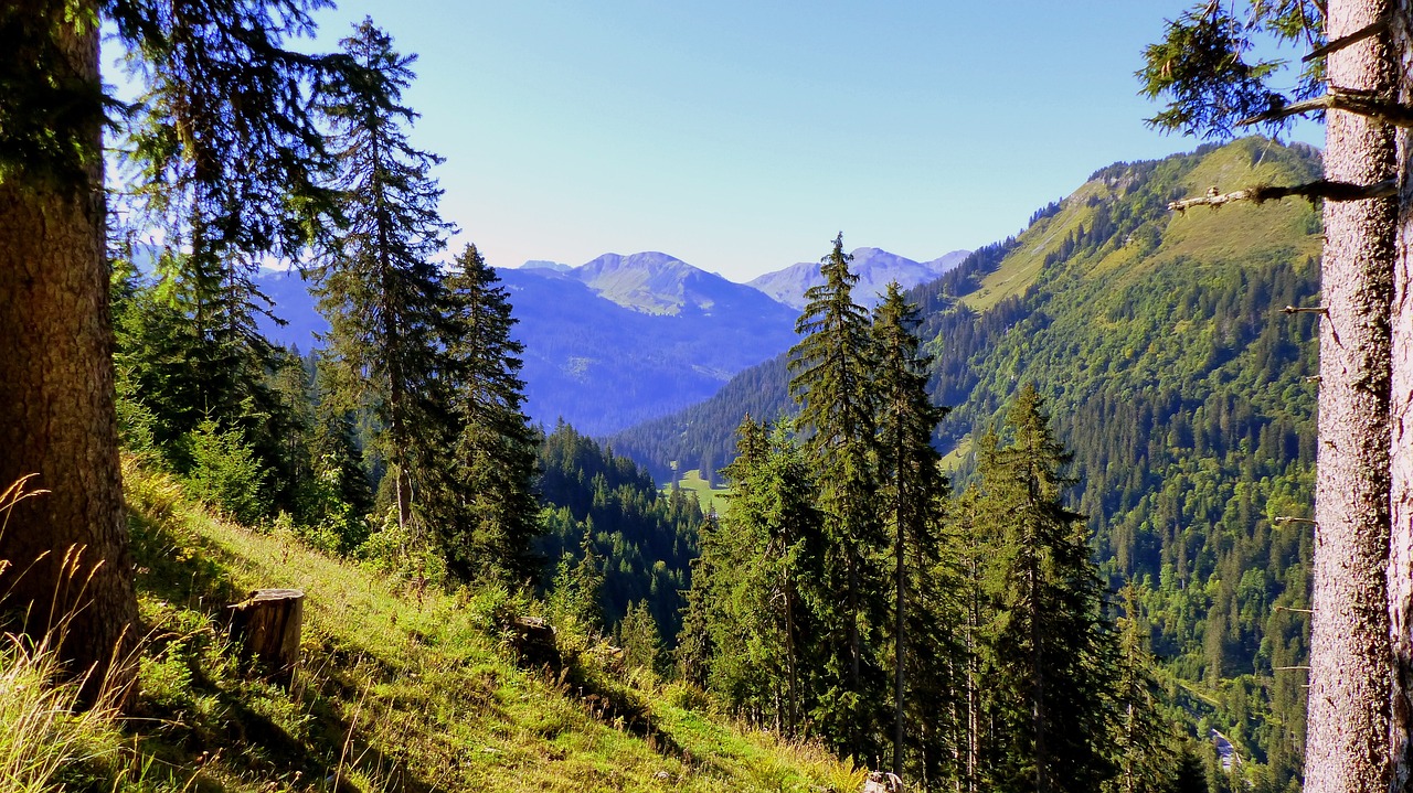 A picturesque mountain landscape viewed from a hillside, highlighting the importance of conservation and forestry efforts.