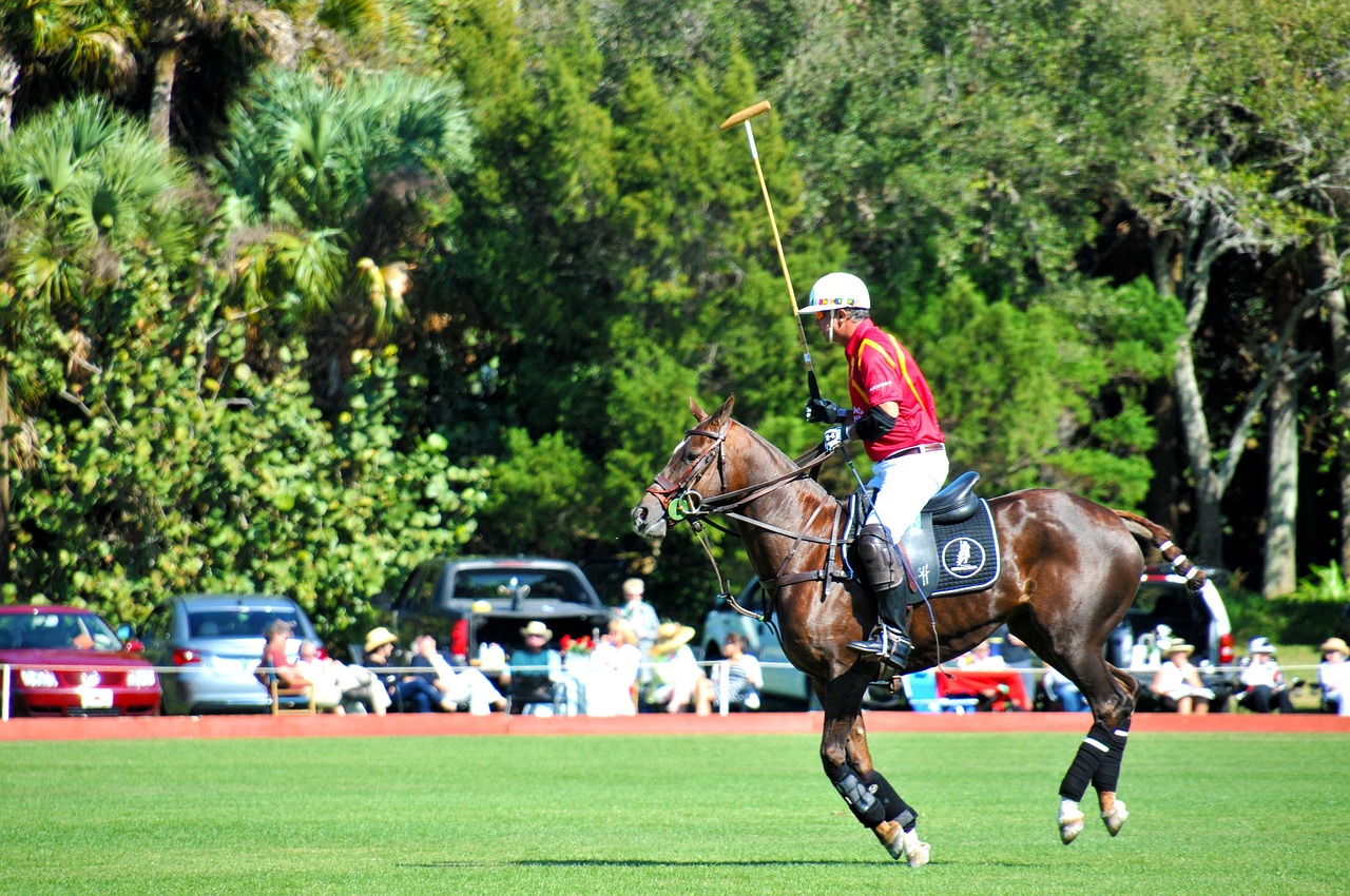 A man playing Polo exemplifing the spirit of adventure, reflecting the essence of gaming services in an engaging environment.